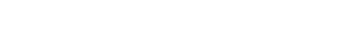 Southwest Airlines